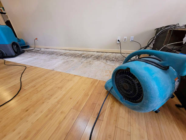 Professional Flood Damage Cleanup technician working in Yuma, CO